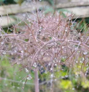 Pat 02 regen regen regen